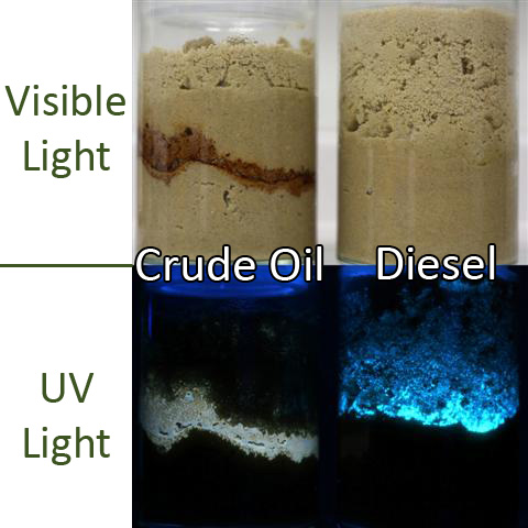 fluorescence example